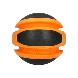 Zen-Kat Dog Comets Sun Oranje