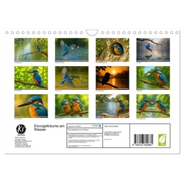 Eisvogelträume am Wasser (Wandkalender 2026 DIN A4 quer), CALVENDO Monatskalender