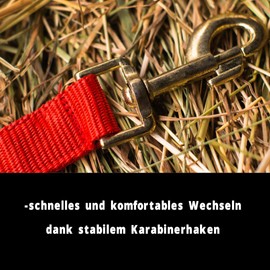 Halter for Horses Warmblood, Thoroughbred, Cold Blood - Stable Halter, Pasture Halter, 2 Adjustable Positions on Chin Strap and Headpiece, Safe & Tear-Resistant (Red, Shetland Pony (Shetty))
