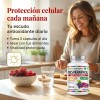 Resveratrol Gold 200 Cápsulas Suplemento Antioxidante Transresveratrol Complejo Antioxidantes Polifenoles