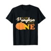 First Birthday Party Pumpkin Fall Theme T-Shirt