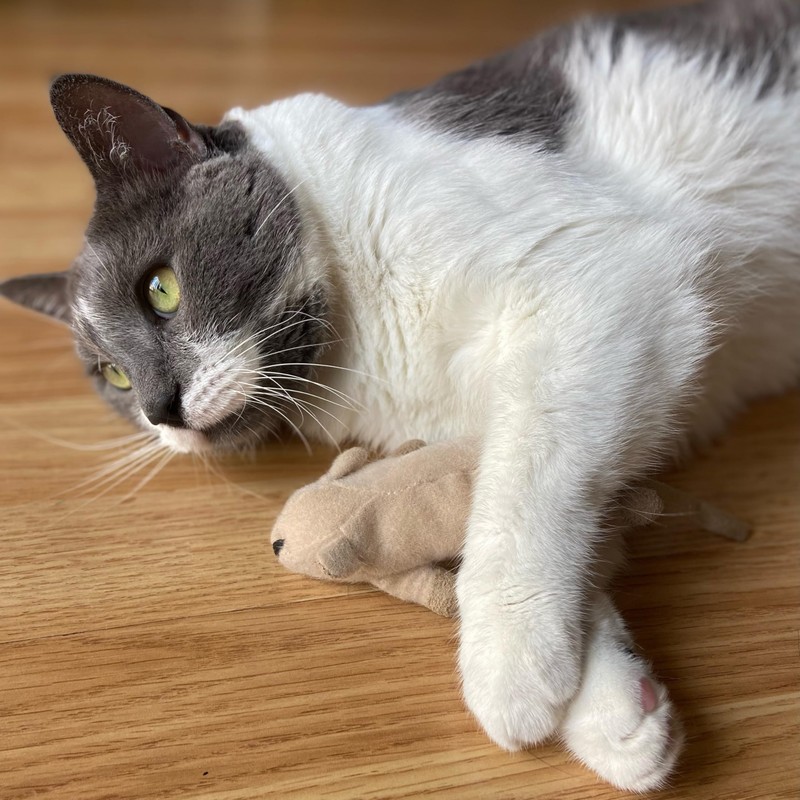 SPOT Flat Mouse Frankie with Catnip - Cat Toy, Fuzzy