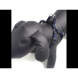 Rosewood Harness, Large, Black