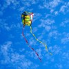 KOKOSUN Frameless Soft Kite, Colorful Parafoil Kite with Long Tail