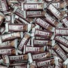 HERSHEY'S Milk Chocolate Snack Size Candy Bar, 5 Pound Bulk