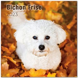 2022 2023 Bichon Frise Calendar - Dog Breed Monthly Wall Calendar - Bichon Frises Calendar - 12" x 24" Opened - Thick No-Bleed Paper - Giftable - Academic Teacher's Planner Calendar for Organizing & Planning - Made in USA - JUNE 22 - DEC 23 19 Month