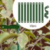 Generic 10 Pieces Tree Straps for Staking Tree Support Straps