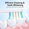 Replacement Heads Compatible with Auraglow Sonus Electric Toothbrush,for Auraglow Electric