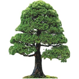 SP12476 Bonsai Tree Decoration Prop Cardboard Cutout Standee Standup