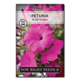Sow Right Seeds - Petunia Wild Violet Flower Seed for Planting - Beautiful Flowers to Plant in Your Home Garden - Non-GMO Heirloom Seeds - Perfect for Outdoor Hanging Baskets - Great Gardening Gift
