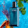 Davidoff Cool Water Eau de Toilette – Aromatic Men's Cologne