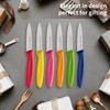 Ruffulon Stainless Steel Paring Knife With Serrated Blade, 6 Pieces