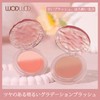 Wirwody グラデーション チーク 2色チーク 血色感アップ 小顔メイク 自然仕上げ オレンジピンク系 毛穴ぼかし 長時間キープ