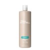 Paul Mitchell Shampoo Two, Champú clarificante, Limpia profundamente + Elimina