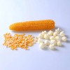 Maíz palomero Mushroom Jumbo 1kg Palomitas Gigantes Popcorn