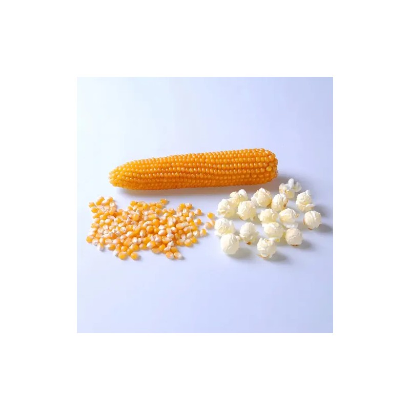 Maíz palomero Mushroom Jumbo 1kg Palomitas Gigantes Popcorn