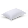 Sleep Innovations 2-in-1 Memory Foam Pillow and Alternative Down Fiber