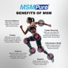 MSMPure MSM Maximum Strength Muscle and Joint Comfort Cream, 2
