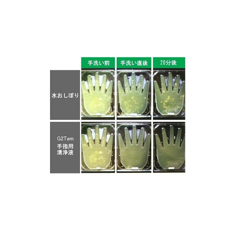 G2TAM Hand Purifier Pump 16.9 fl oz (500 ml)