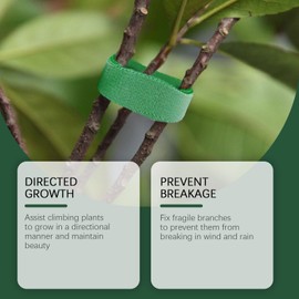 Plant Ties - 30X Plant Tape,Adjustable Tying Tools for Vine Flower Tomato, Anti-Slip Support Strap for Home Organizing