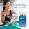 Alexsyn Amend GI All-Natural Stomach Health Support 60 Capsules -