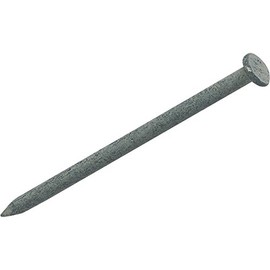 Do it 1 Lb. Hot-Dipped Galvanized Common Nail
