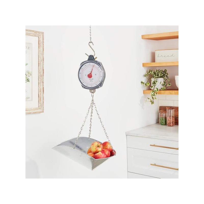 Taylor 테일러 다이얼 스타일 70파운드 산업용 걸이 저울 Taylor Dial