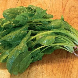 TomorrowSeeds - Bloomsdale Spinach Seeds - 200+ Count - for 2025 Planting Garden Green Vegetable Plant Malabar Leaf Kale Lettuce Cabbage USA Non-GMO Grow Your Own Home Farm Patio Healthy Sustainable