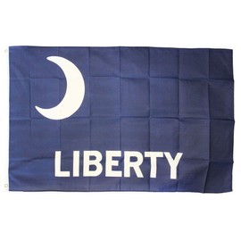 Fort Moultrie - 3 feet x 5 feet Polyester Flag