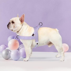 Didog No Pull Dog Harness with Breathable Mesh Padded, Quick Fit & Easy on Dog Vest Harness for Small Medium Large Dogs Training Walking(Purple,L)