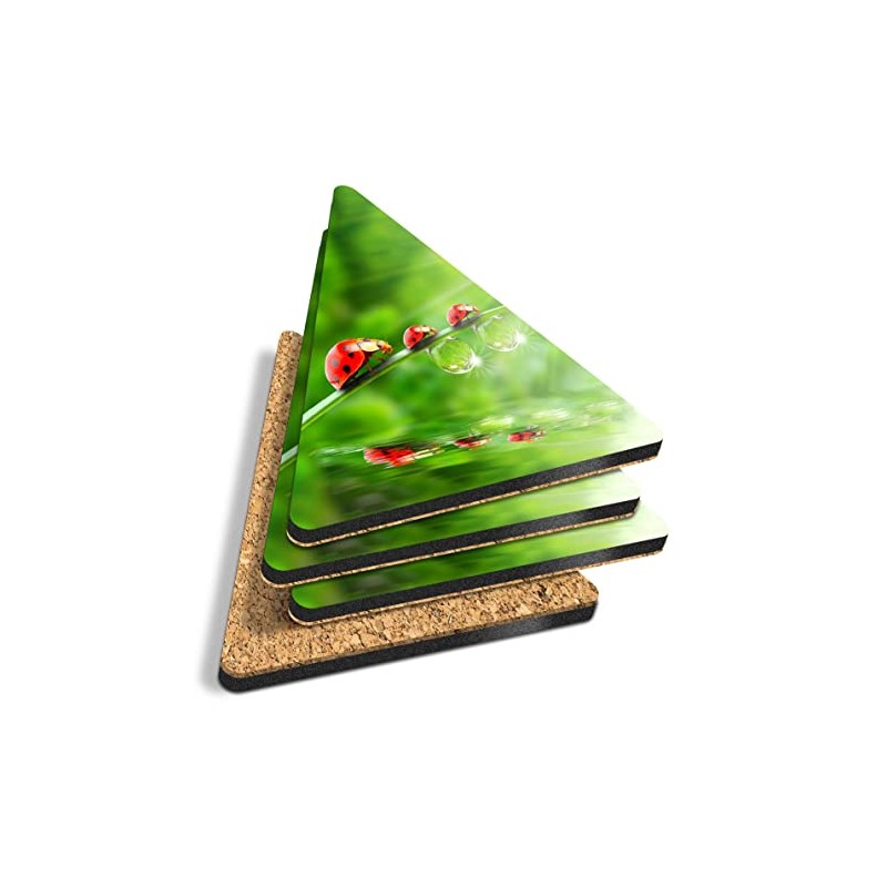4 x Triangle Coasters - Cute Ladybird Garden Wildlife Cork