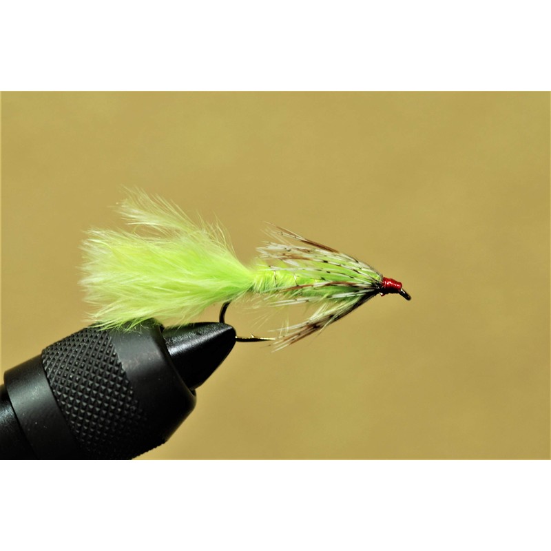 Fly Shop Complete Fly Set SD Selection Management Fishing Ground
