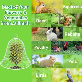 OZMI Garden Chicken Wire Cloches for Plants Protectors from Animals 16" D x 12" H 1 Pcs Rustproof Plant Cages for Outdoor Vegetable Flowers Garden Large Assemble-able Metal Cloches （White）