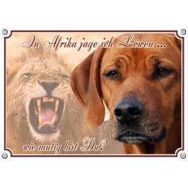 Petsigns Rhodesian Ridgeback - Dog Sign - Metal Sign - Warning Sign up to DIN A3, DIN A4