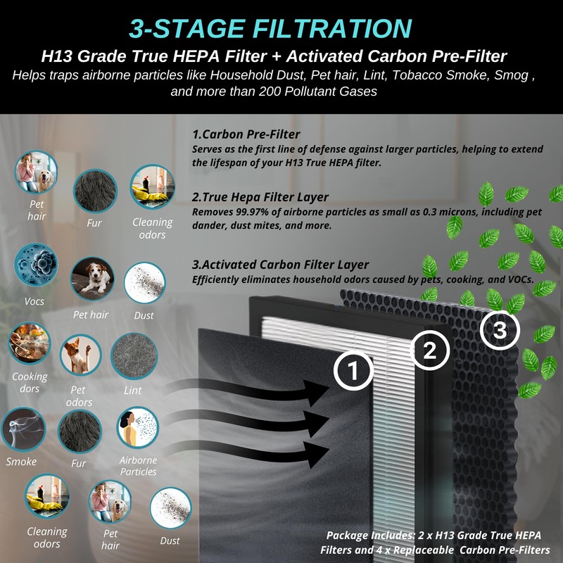 2 pack - BF35 True Hepa Filter Replacement - for