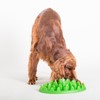 Company of Animals GREEN Slow Interactive Feeder for Dogs, Size
