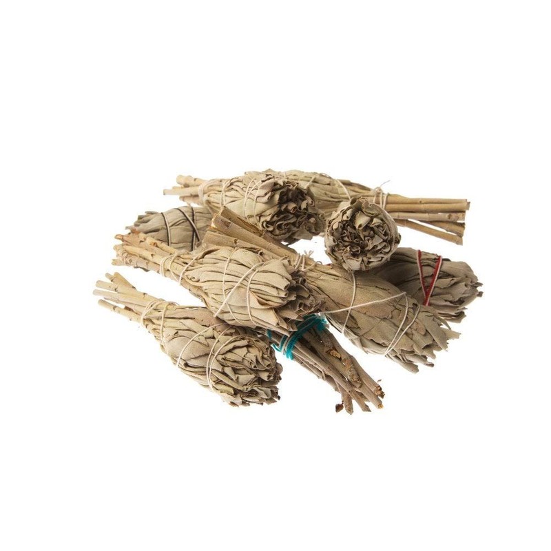 Native American Indian White Sage 4" Bulb Smudge Stick -