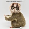 BH7043 HANSA Slow Loris 17