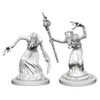 D&D Nolzurs Marvelous Unpainted Miniatures: Wave 1: Mindflayers
