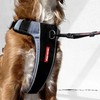 EzyDog No-Pull Dog Harness for Small Dogs, X-Link Anti-Pull Harness,