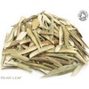 Organic Olive Leaf Pure Herbal Infusion (25 Unbleached Tea Bags