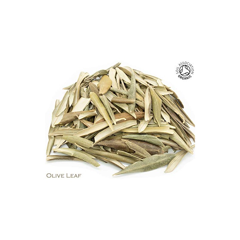 Organic Olive Leaf Pure Herbal Infusion (25 Unbleached Tea Bags
