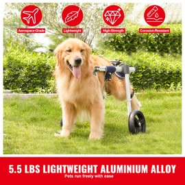 Happybuy 2-Wheel Dog Wheelchair for Back Legs, Lightweight & Adjustable Pet Cart for Injured, Disabled, Paralysis, Hind Limb Weakness, Size: M