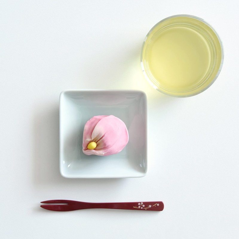 Natural69 QA67 Set Product, Set of 6 Square-shaped Plates