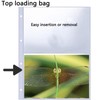 Pack of 30 Transparent Pockets 2 Compartments Photo Sleeves Transparent