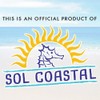 Sol Coastal Plastic Beach Umbrella Sand Anchor, Rust-Free and Sized