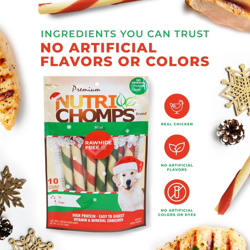 NutriChomps Dog Chews, 5 inch Twists, Mint Flavor, 10 Count,