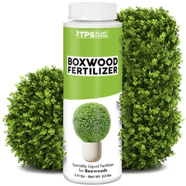 Boxwood Fertilizer – Liquid Plant Food for Dense Growth, Rich Green Foliage, & Stronger Roots, 8 oz