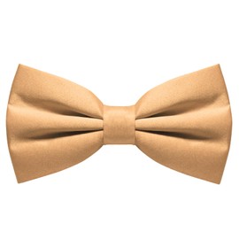RBOCOTT Champagne Pre-tied Bow Tie Adjustable Bowtie for Men(4)