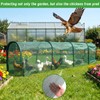 Chicken Runs for Yard,79" & 157" Extra Long Foldable Chicken